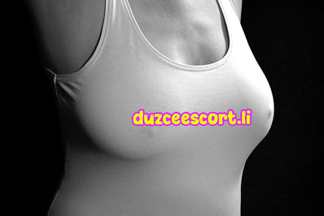 Bahçeşehir Escort