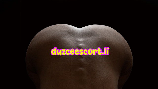 Düzce Escort